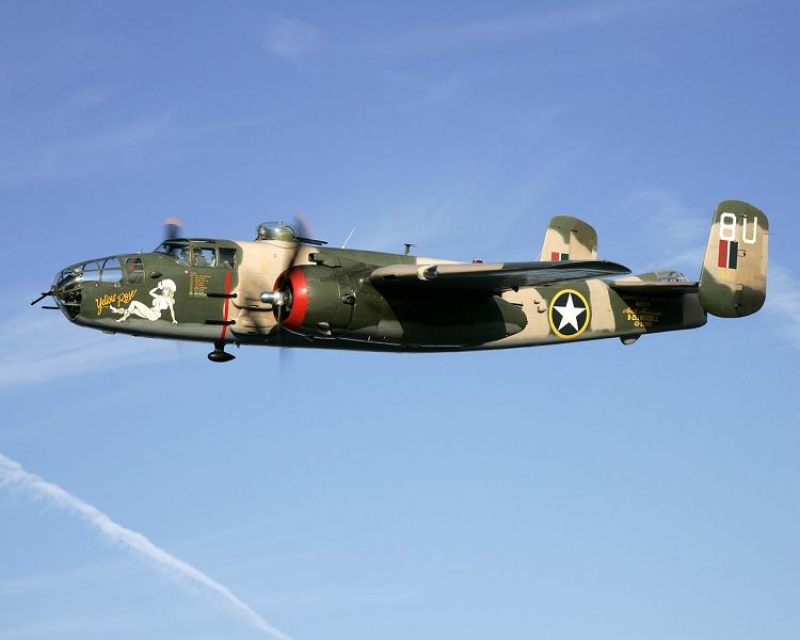 B25 Mitchell Yellow Rose