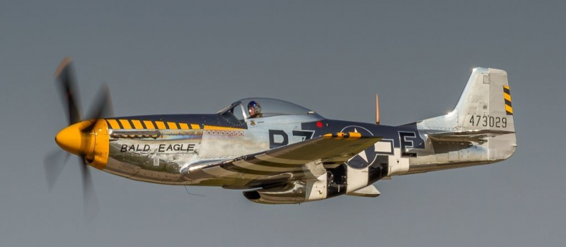 P-51D Mustang Survivor