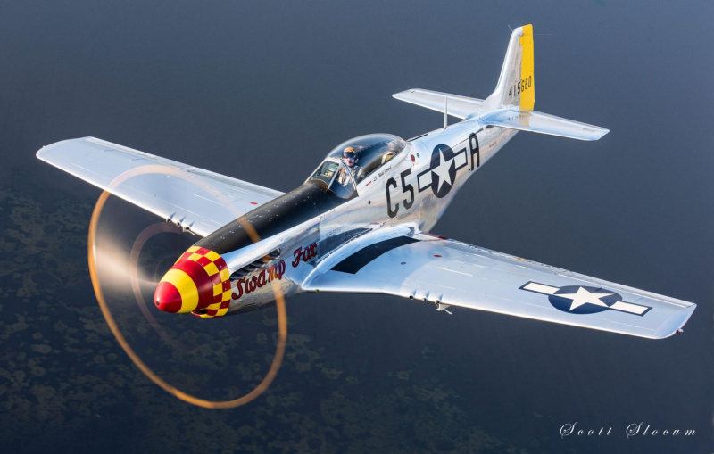 P-51D Mustang - Swamp Fox