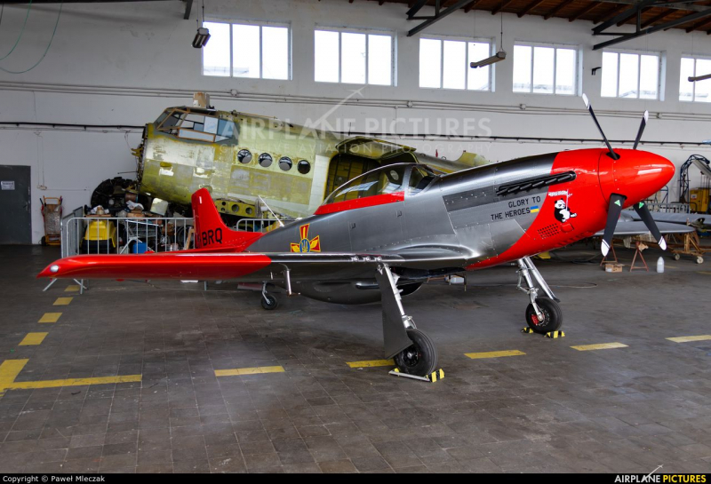 Scalewings SW-51 Mustang