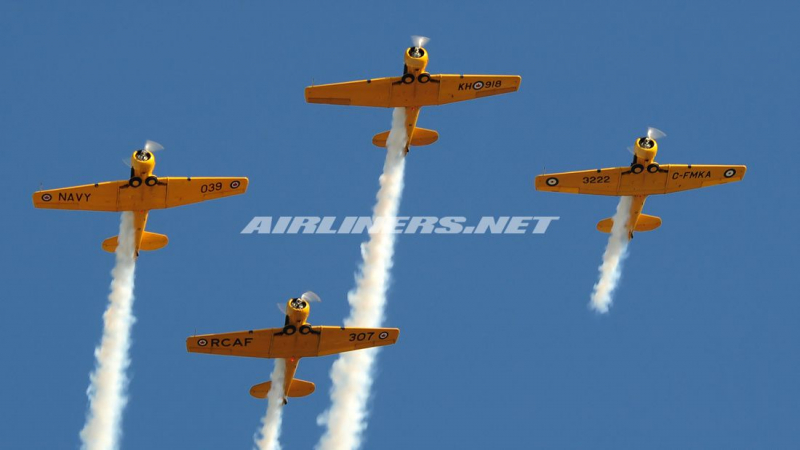 Canadian Harvards 