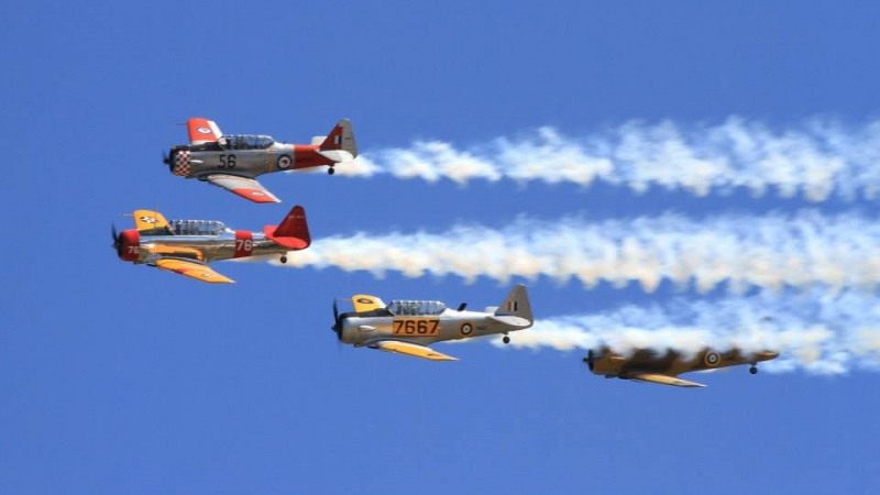 Southern Knights Formation Team