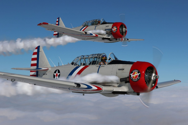 New Garden Flying Field - Festival of Flight Air