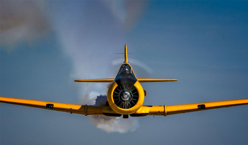 Rumble Over The Redwoods