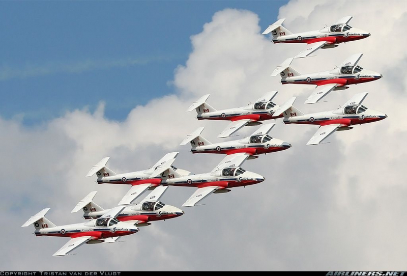 Snowbirds Over White Rock