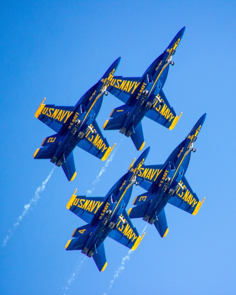Wings Over Ocala Florida